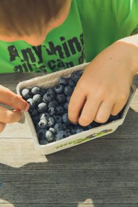 child choosing blueberries