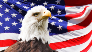 Eagle in front of the American Flag