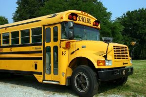 School bus in front of grass and trees