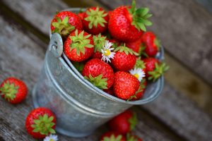 strawberries in a metal bucket