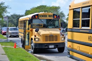school buses parked outside with parent vehicles